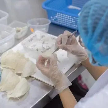 news11.webp news11.webp