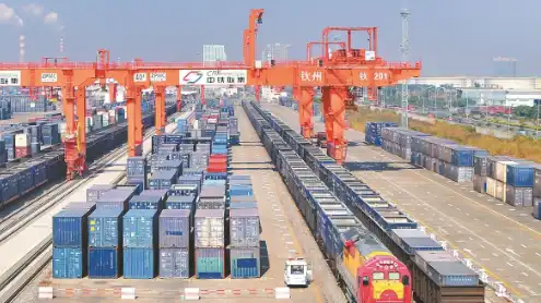 Economic Watch: New "digital frontier trade" flourishes in China-Russia border city