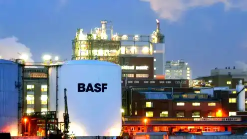 German chemical giant BASF commissions steam cracker in new China move