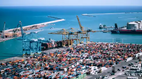 Economic Watch: China's super-large market creates global opportunities with record imports