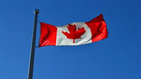 China, Canada reach specific arrangements to address trade issues: commerce ministry