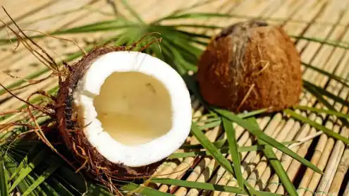 China's Hainan FTP sees coconut import growth in 2025