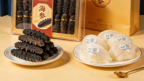 Follow our ongoing journey of progress and growth