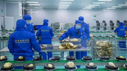 Economic Watch: First sea-shipment of Indonesian frozen durian arrives in China, opening new trade route